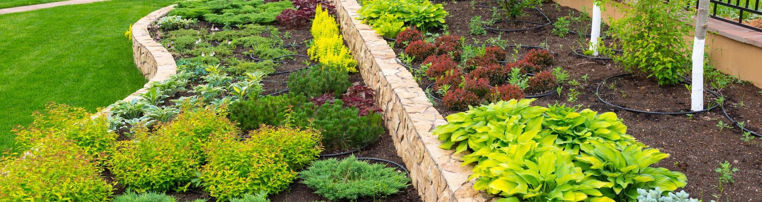 Camberos Landscaping — contact background
