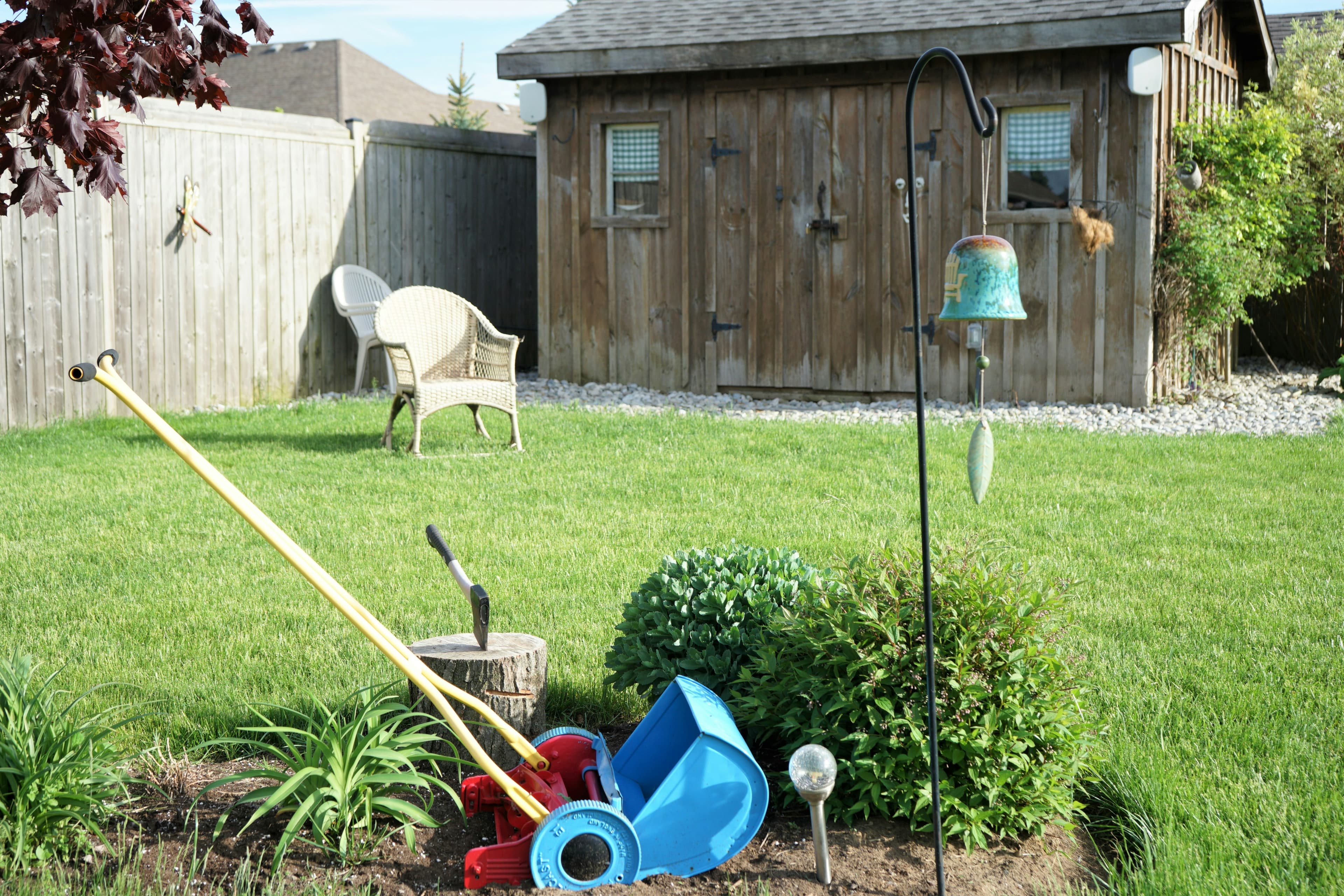 Yard cleanup and maintenance